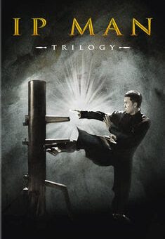 O Grande Mestre Trilogia  BluRay 720p/1080p Dual Áudio