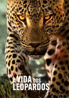 A Vida dos Leopardos (2024) WEB-DL 1080p Dual Áudio