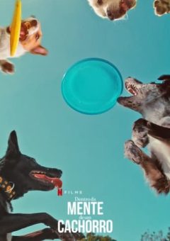 Dentro da Mente de um Cachorro (2024) WEB-DL 1080p Dual Áudio