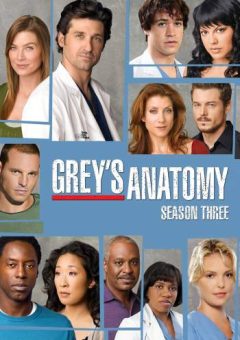 Grey’s Anatomy 3ª Temporada Torrent (2007)