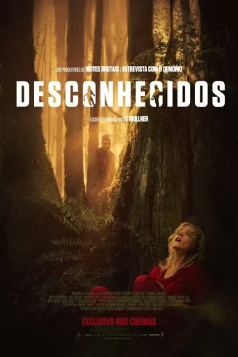 Desconhecidos (2024)
